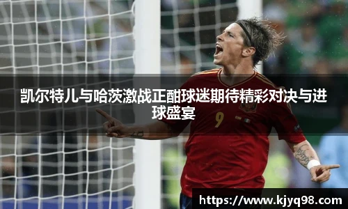 BB贝博艾弗森体育